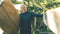Community Collaborations – Malibu: The Gesner Family & Steven Lippman
