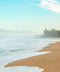 Apex Trunks By Kelly Slater - Outerworn