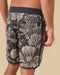All Time Scallop Trunks
