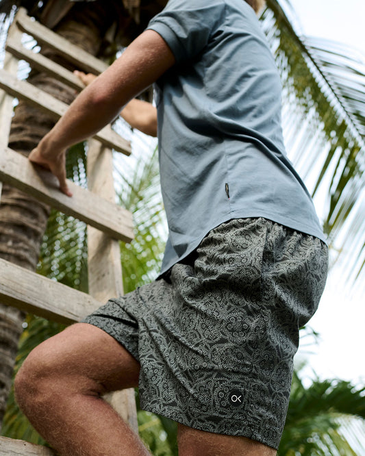 Person climbing a wooden ladder with palm trees in the background