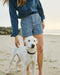 Women's Seventyseven Cord Shorts