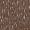 Eclipse Board Shorts - FINAL SALE